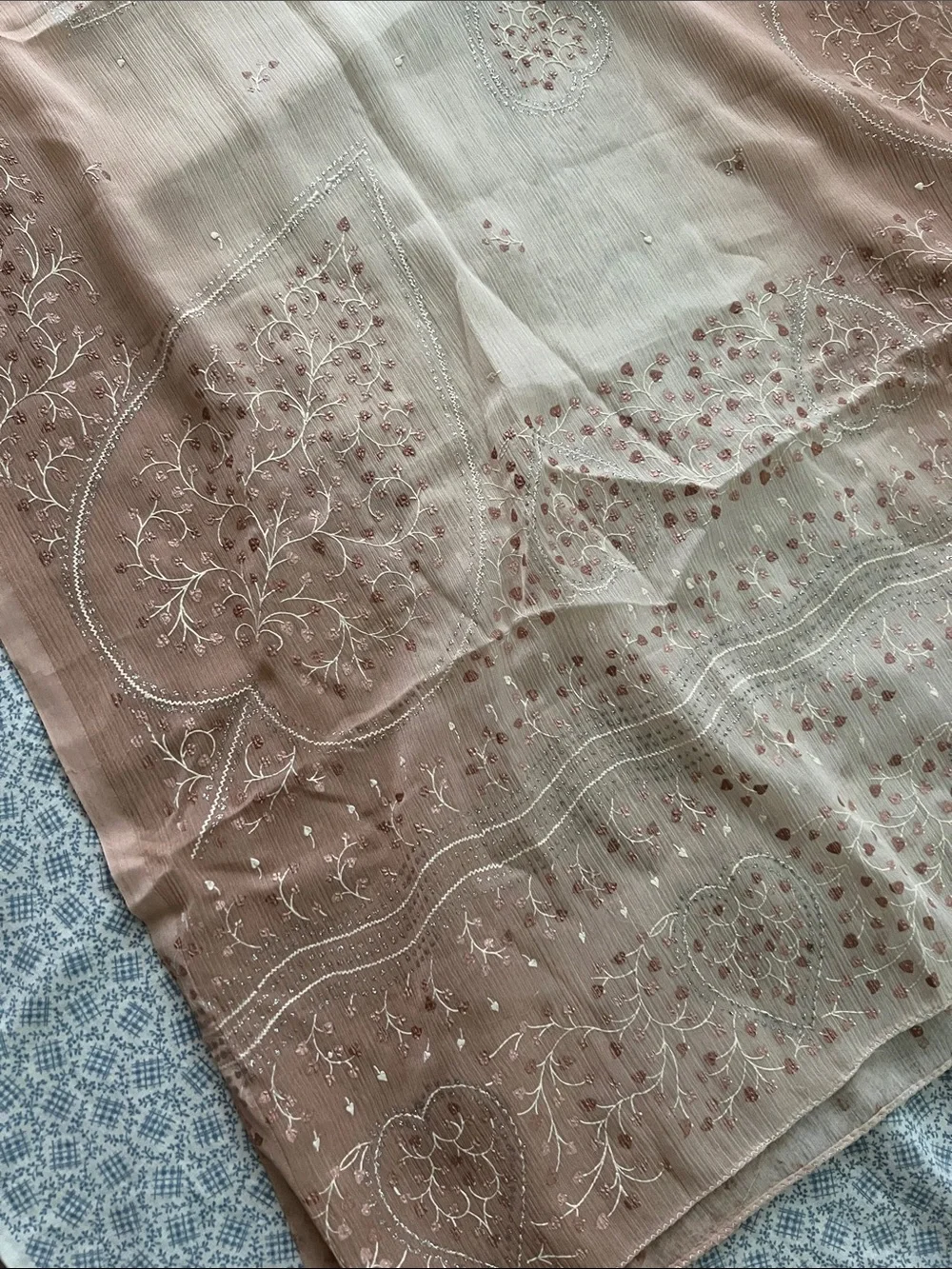 Embroidered Ombre Sheer Scarf in Blush and Cream
